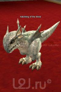 Hatchling of the Wind