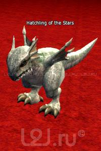 Hatchling of the Stars