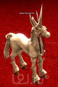 Boxer the Unicorn