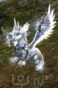 Pegasus Agathion