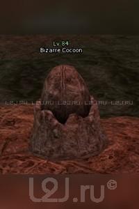 Bizarre Cocoon