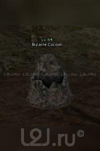 Bizarre Cocoon