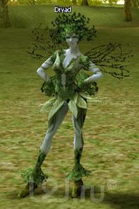 Dryad