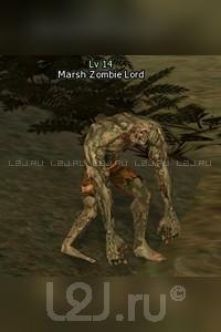 Zombie Forest Elf Researcher