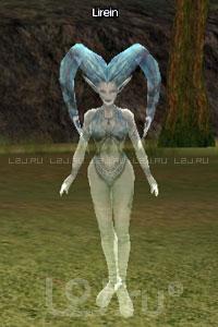 Lirein