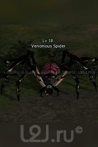 Giant Venomous Spider
