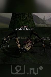 Arachnid Tracker