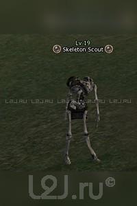 Skeleton Scout