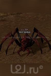 Ant Soldier
