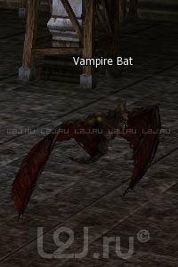 Vampire Bat