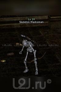 Skeleton Marksman