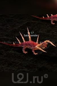 Salamander