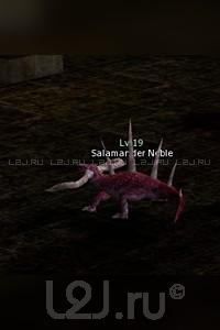 Salamander Noble