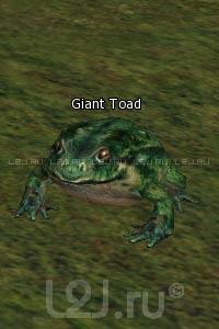 Giant Toad