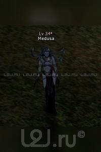 Medusa