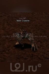 Neer Crawler