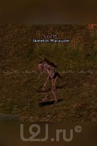 Skeleton Marauder