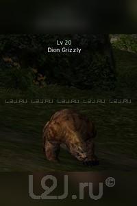 Dion Grizzly