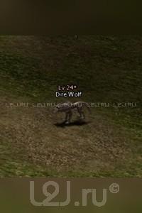 Dire Wolf