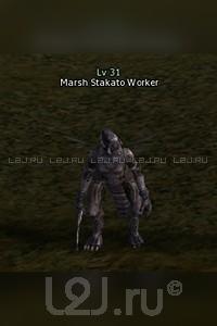 Marsh Stakato Worker