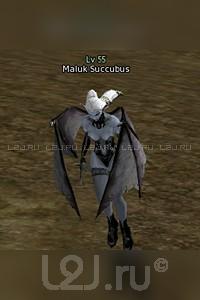 Maluk Succubus