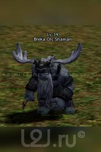 Breka Orc Shaman