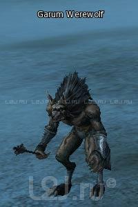 Garum Werewolf