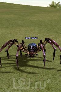 Hook Spider