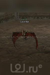 Cave Bat