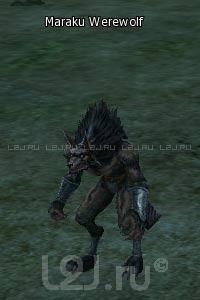 Maraku Werewolf