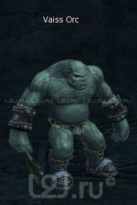 Vaiss Orc