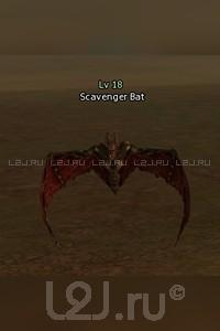 Scavenger Bat