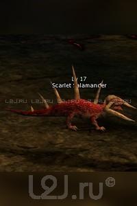 Scarlet Salamander