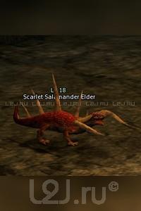 Scarlet Salamander Elder