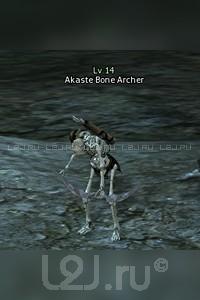 Akaste Skeleton Archer