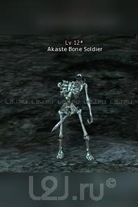 Akaste Skeleton Warrior