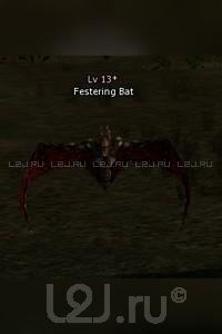 Festering Bat