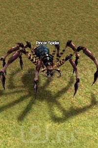 Pincer Spider
