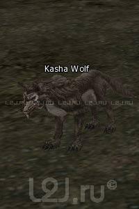 Kasha Wolf