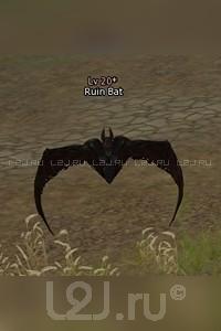 Ruin Bat