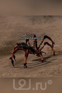 Plunder Tarantula