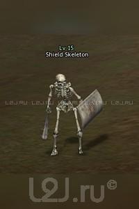 Shield Skeleton