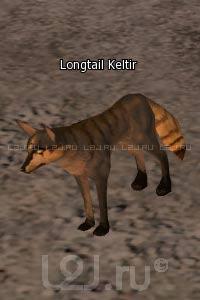 Longtail Keltir