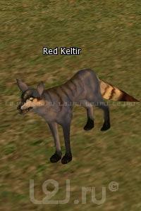 Red Keltir