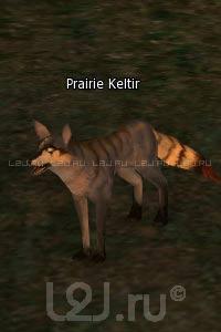 Prairie Keltir
