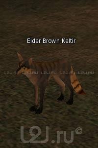 Elder Brown Keltir
