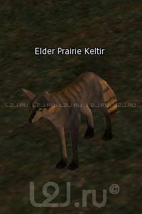 Elder Prairie Keltir