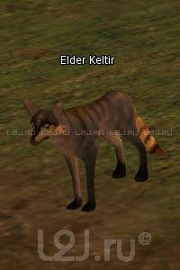 Elder Keltir