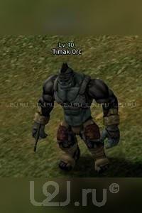 Timak Orc