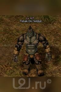 Timak Orc Soldier
